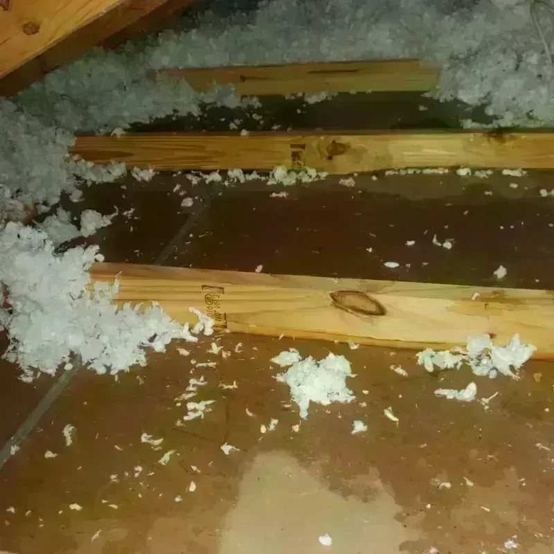 Attic Water Damage in Carrollton, MI