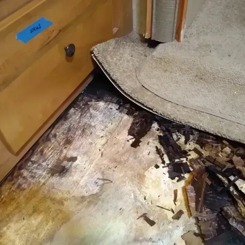 Wood Floor Water Damage in Carrollton, MI